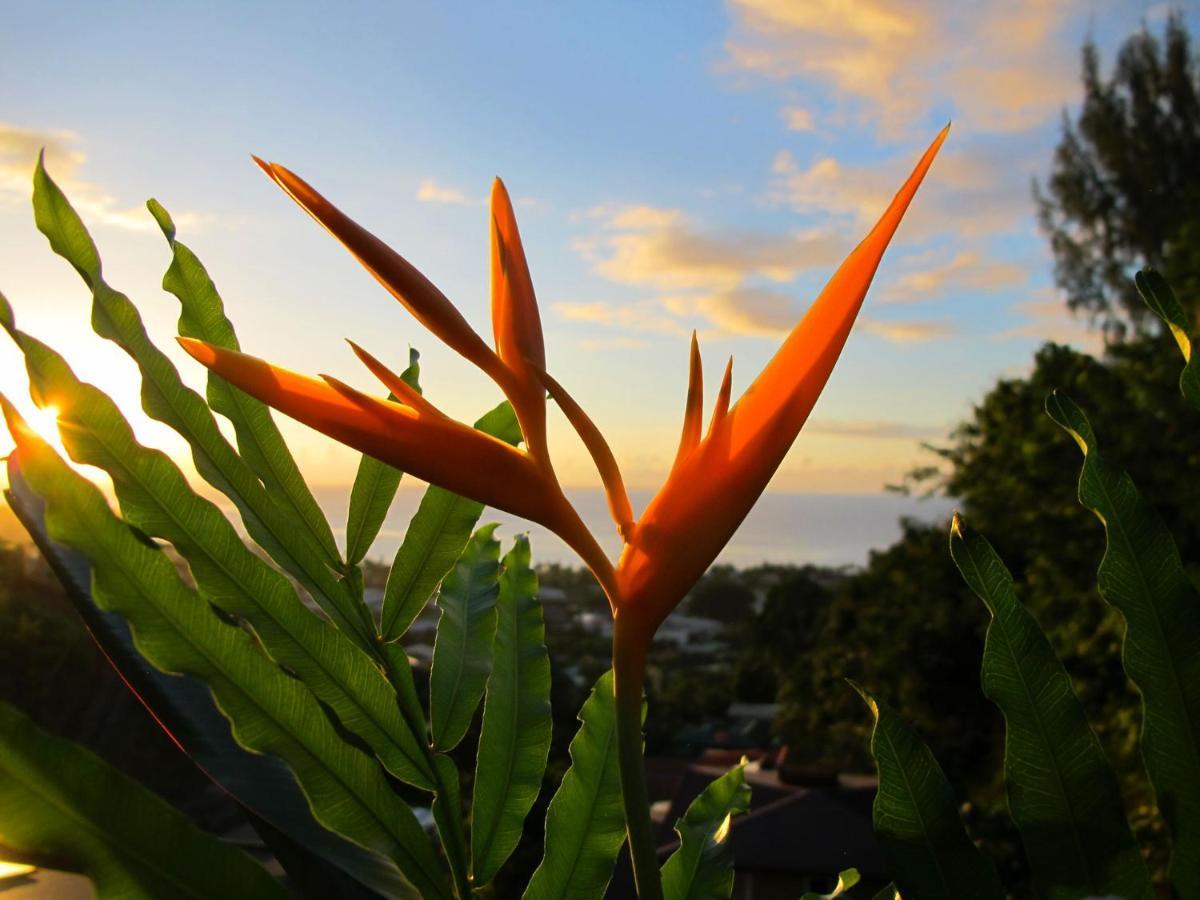 Bounty Lodge Tahiti Arue  외부 사진